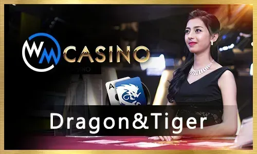 Jilibet Lucky Calico Slot Game